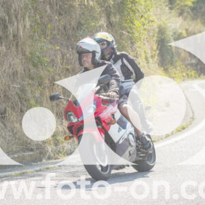 thumb_FF105155
