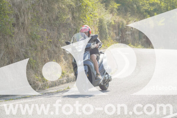 <h1 class="product-title">thumb_FF105161</h1>