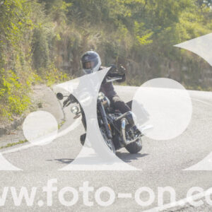 thumb_FF105177