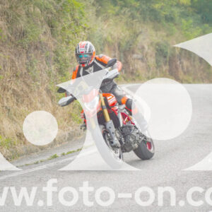 thumb_FF105208