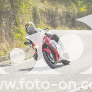 thumb_FF105209-1