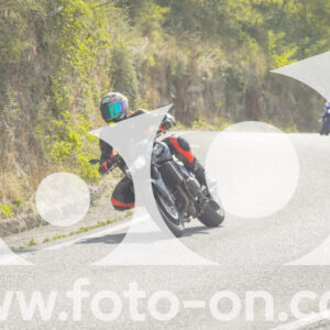 thumb_FF105210