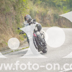thumb_FF105238