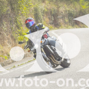 thumb_FF105247