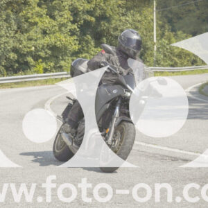 thumb_FF105253