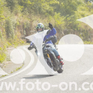 thumb_FF105254
