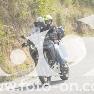 thumb_FF105257-1