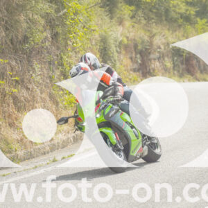 thumb_FF105261