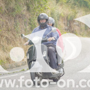 thumb_FF105263