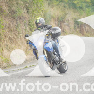thumb_FF105264