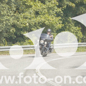 thumb_FF105271