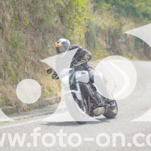 thumb_FF105272