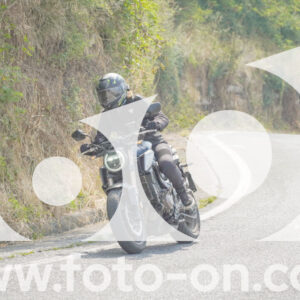 thumb_FF105274