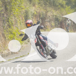 thumb_FF105280