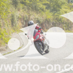 thumb_FF105291