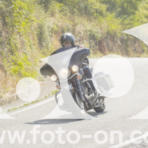 thumb_FF105294-1