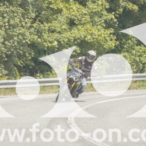 thumb_FF105303