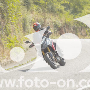 thumb_FF105310