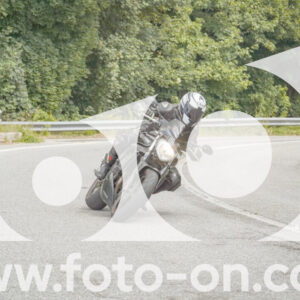thumb_FF105331