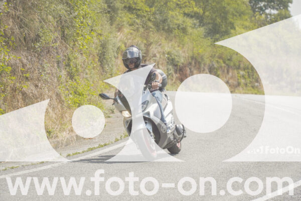 <h1 class="product-title">thumb_FF105394_1</h1>