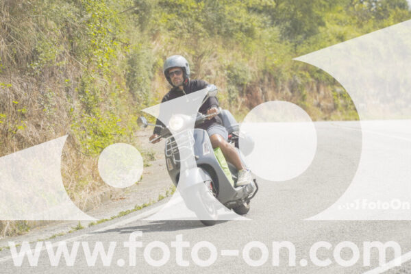 <h1 class="product-title">thumb_FF105398-1</h1>