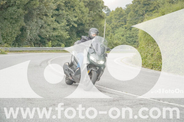 <h1 class="product-title">thumb_FF105430</h1>