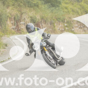 thumb_FF105472