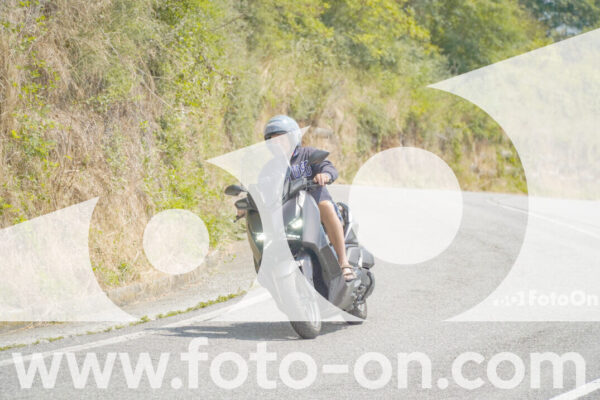 <h1 class="product-title">thumb_FF105547</h1>