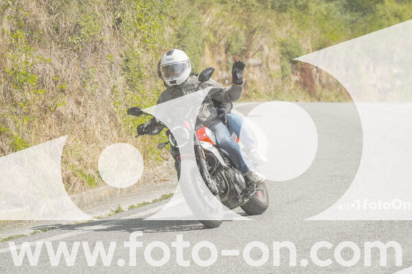<h1 class="product-title">thumb_FF105646</h1>