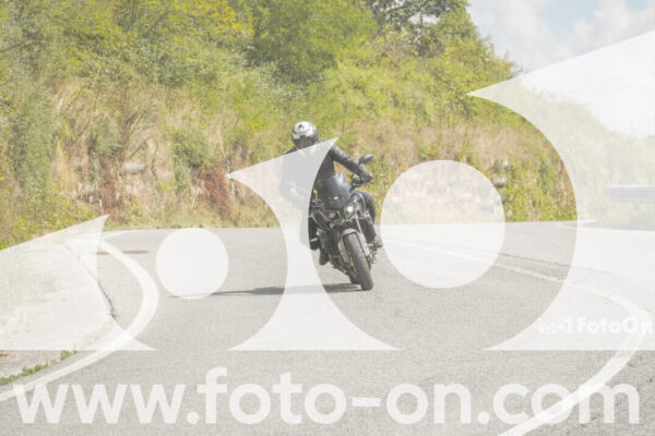 <h1 class="product-title">thumb_FF105659</h1>