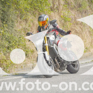 thumb_FF105682
