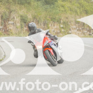 thumb_FF105686