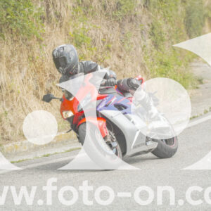 thumb_FF105687