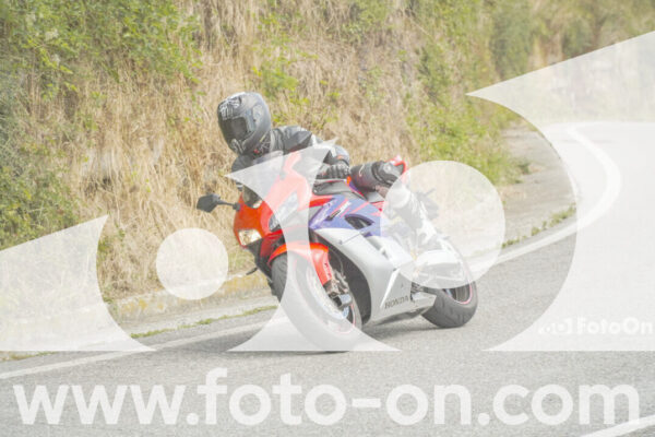 <h1 class="product-title">thumb_FF105687</h1>