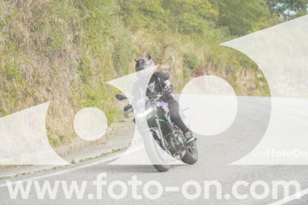 <h1 class="product-title">thumb_FF105691</h1>