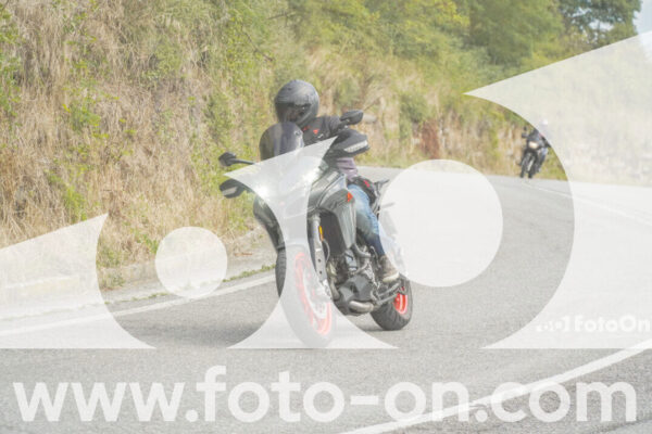 <h1 class="product-title">thumb_FF105693</h1>