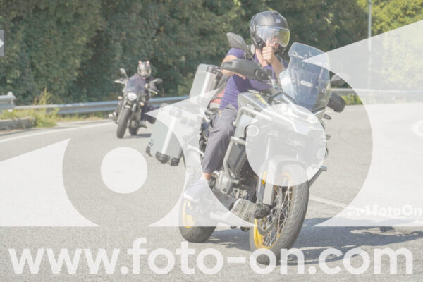 <h1 class="product-title">thumb_FF105793</h1>
