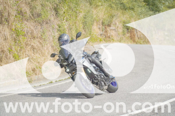 <h1 class="product-title">thumb_FF105852</h1>