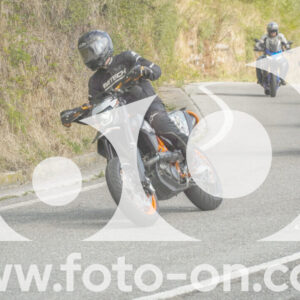thumb_FF105894