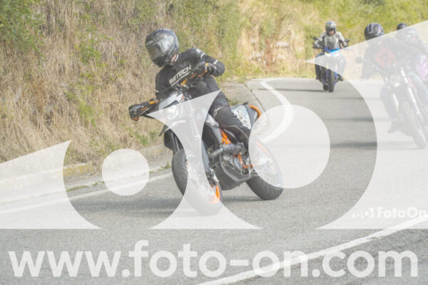 <h1 class="product-title">thumb_FF105894</h1>