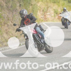 thumb_FF105895