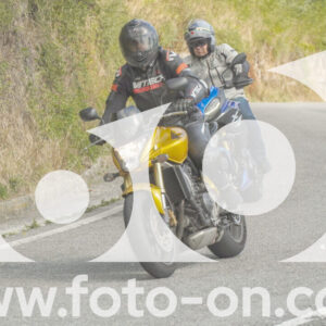 thumb_FF105897