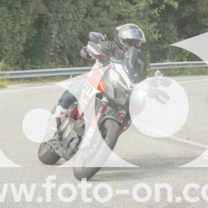 thumb_FF105900