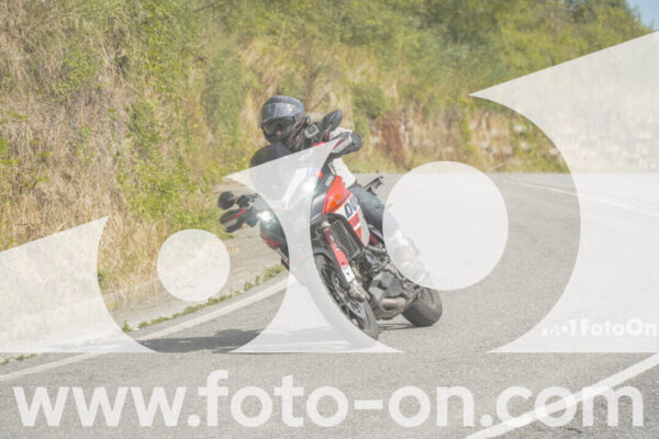 <h1 class="product-title">thumb_FF105901</h1>