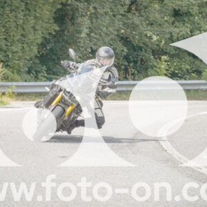 thumb_FF105905