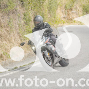 thumb_FF105910