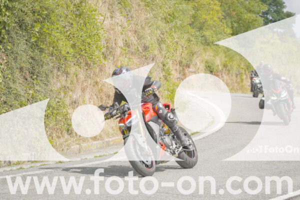 <h1 class="product-title">thumb_FF105936</h1>