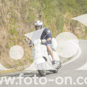 thumb_FF105952