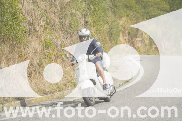 <h1 class="product-title">thumb_FF105952</h1>