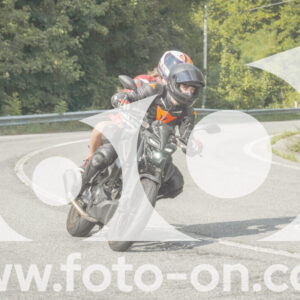 thumb_FF105954
